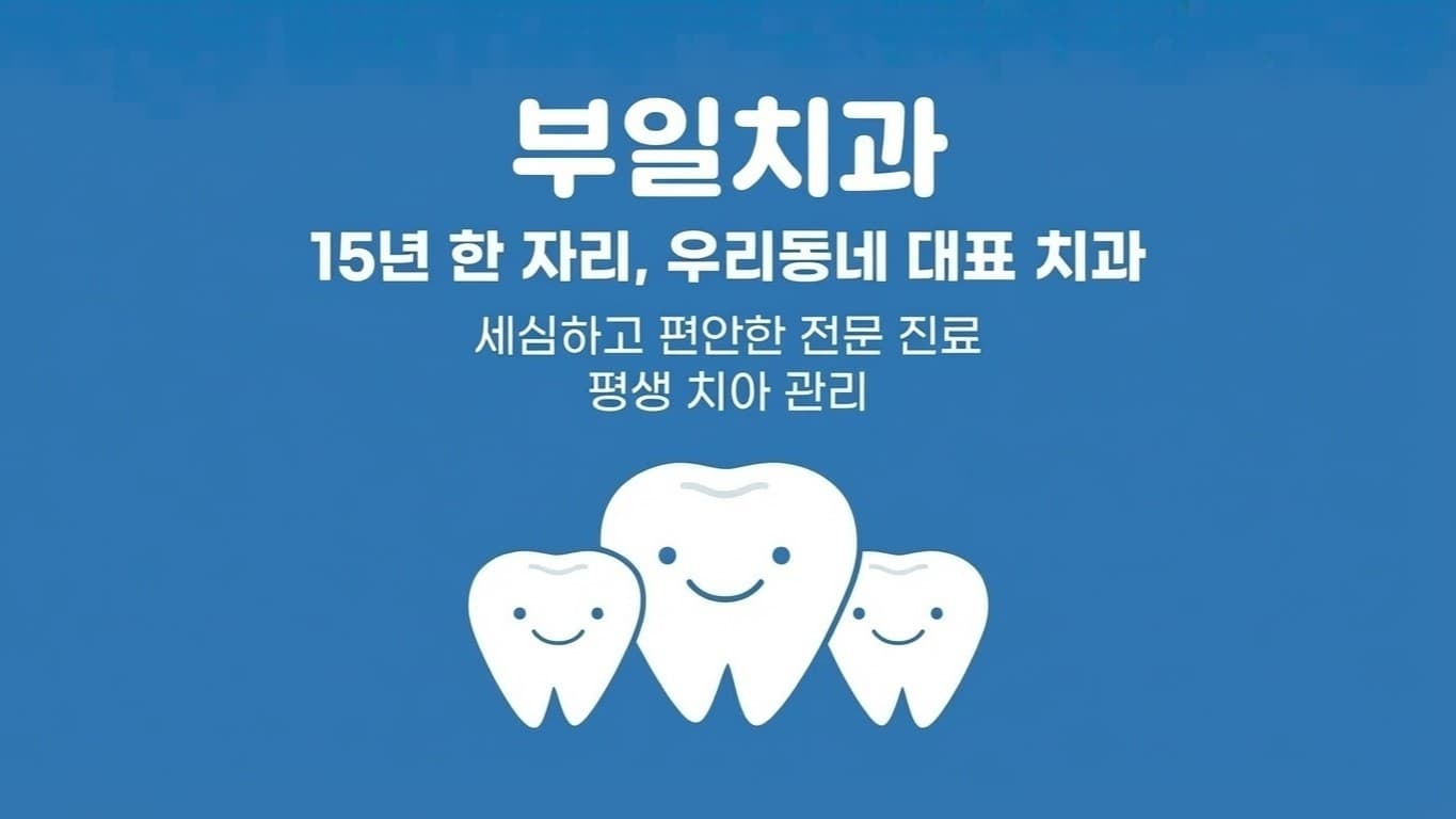 배너 1